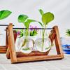 Terrarium Creative Hydroponic Plant Transparent Vase, Wooden Frame, Glass Tabletop, Bonsai Decor, Flower Vase