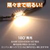Carmate GIGA T8 X X 31 LED Car Interior Bright Warm 1 BW253 29/T10 Lamp, 3000K, 100lm, White, Lamp,