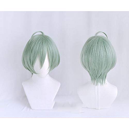 Cosplay Wig with Net, Stargazing Observer, Heat-Resistant Wig (Yuu Ikiyo)