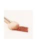 THE TOOL LAB [Best Highlighter] 160 Blusher Fan Brush