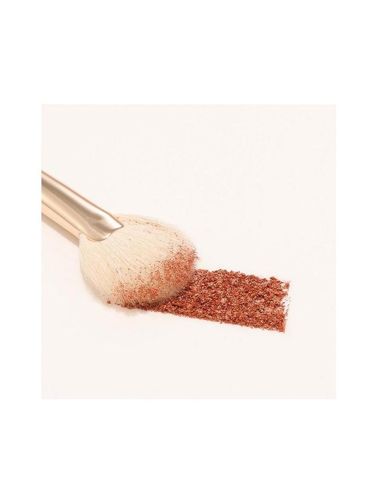 THE TOOL LAB [Best Highlighter] 160 Blusher Fan Brush