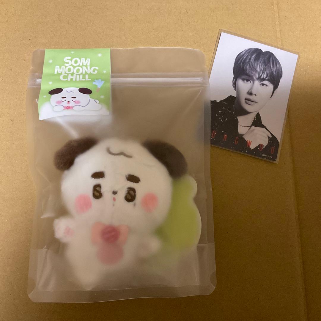 [USED] Anonymous Shipping Jungwoo NCT127 Plush Keyring