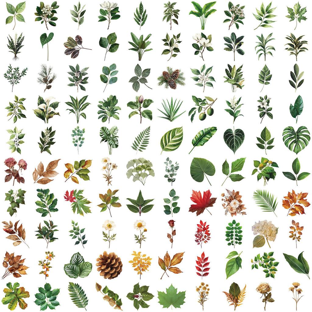 100 Pcs Colorful Plant Leaf Stickers - Transparent Decor for Journals, Phone Cases, Guitars, Backpacks RecordingYourLife Store