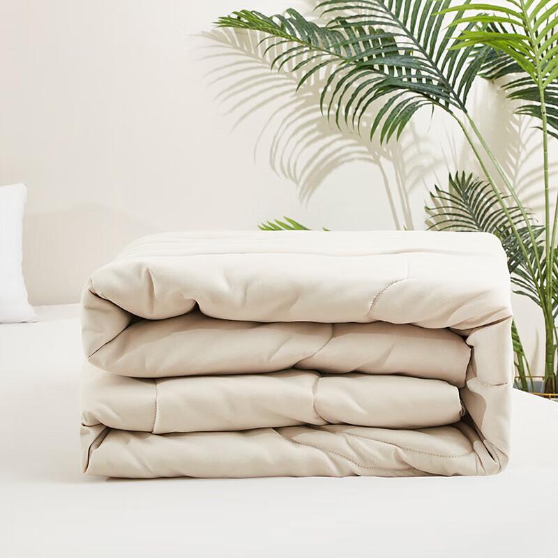 Snoopy Four Seasons Quilt