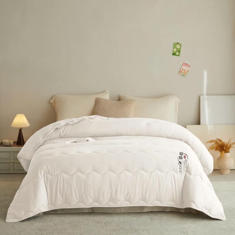 Hongdou Ultra-Soft Skin-Friendly Quilt 180cm x 200cm