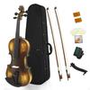 Acoustic Violin Beginner Starter Kit Solid Wood for Music Lessons, Adults