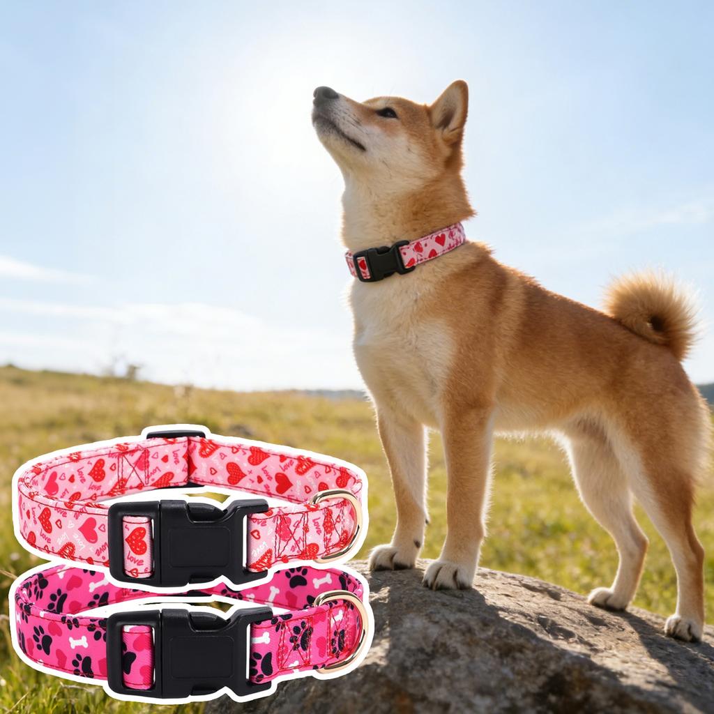 Love Pet Collar, Adjustable Length, Multiple Sizes