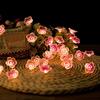 LED Lyslenke Havdyr Sommerfugl Bie Blomst Eventyrlys Solcelledrevet Vanntett Dekorativ Belysning for Innendørs Utendørs Rom Hage Dekor