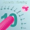 Clit Vibrator Remote G-Spot Stimulator Vagina Massager Rechargeable Sex Toys for Women