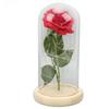 Rose in Glaskuppel Glücklich Schöne Symbolik Romantische Verzauberte Rose Romantische Geschenke mit LED-Licht