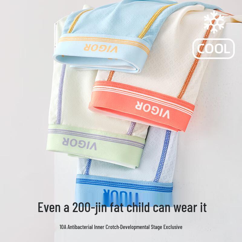 Fenteng Teen Boys Breathable Nylon Ice Silk Underwear