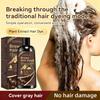 Bruine Haarkleur Shampoo | 3-in-1 , Hydrateren, Voeden, Natuurlijke Gember Formule 100ml