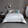 8H Clean Graphene Antibacterial All-Season Duvet