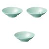 Set of 3 Jade Celadon Noodle Bowls X Noodle Plates Setomonohonpo 8.0 [24.5 7.5 Cm]