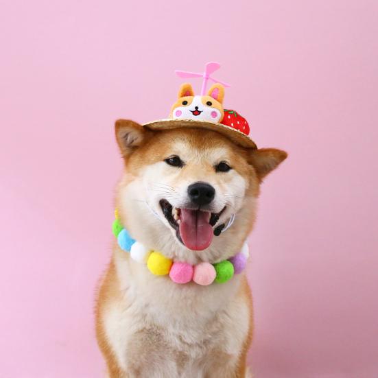 Cute Cartoon Dog Hat with Plush Toy Decoration And Removable Dragonfly for Comfortable And Stylish Pet Photography Props