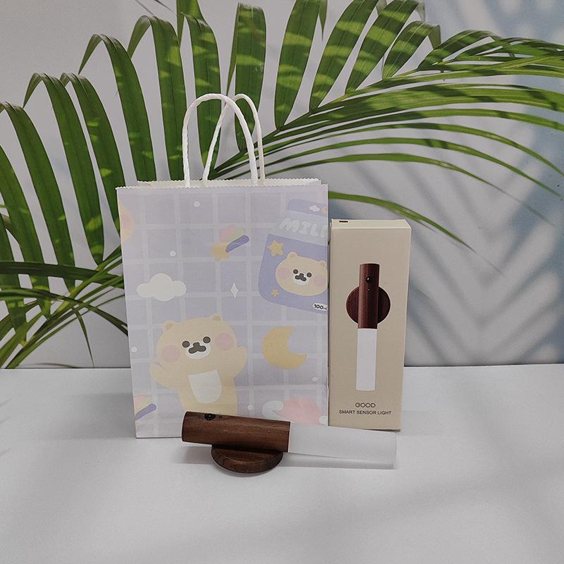 Rechargeable LED Motion Sensor Night Light for Bathroom or Corridor