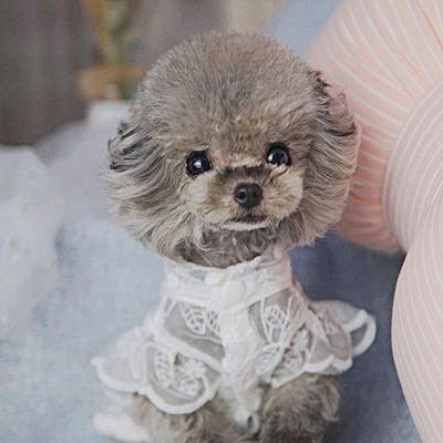 Dog Clothes Round Neck Sun Protection Polyester Pet Princess Dress for Summer
