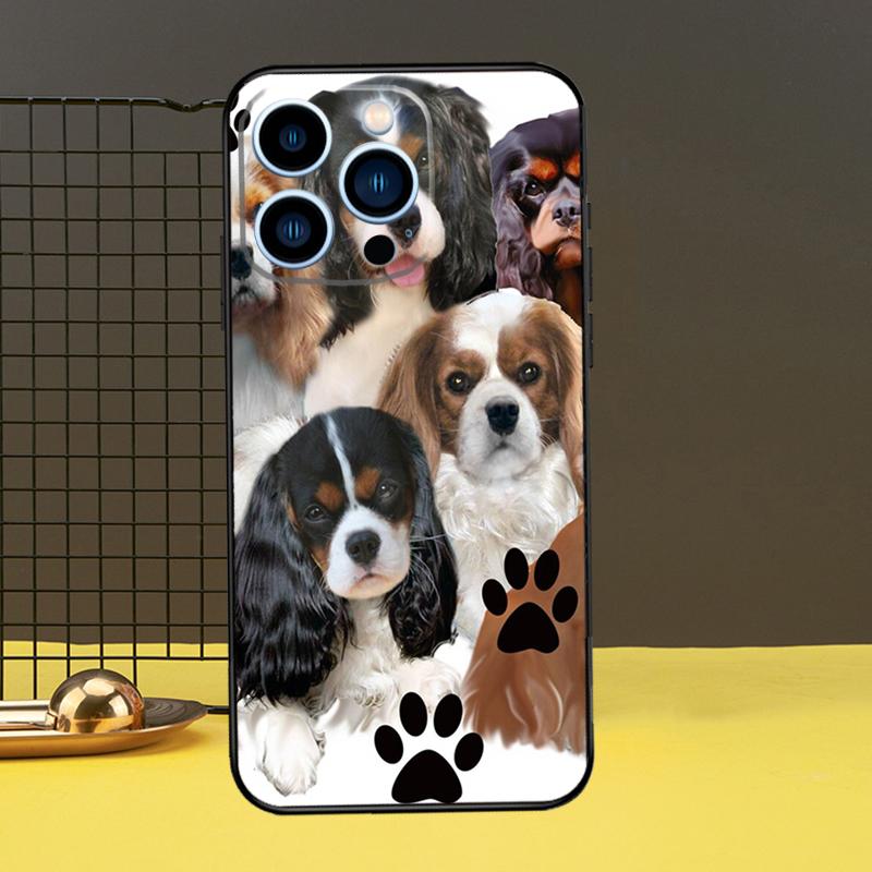 Cavalier King Charles Spaniel Handyhülle Für iPhone 15 14 13 12 11 Pro Max X XR XS Max 7 8 Plus 12 13 Mini Rückseite