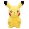 Pokemon At Home Pikachu