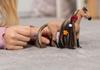 Schleich Horse Club Beauty Horse 42621 Akhal-Teke (Male)
