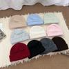 Foreign Single Model~ Export High Quality! Including Wool Knitted Hat Women's Autumn and Winter Versatile Face Small Ear Protection Wool Hat