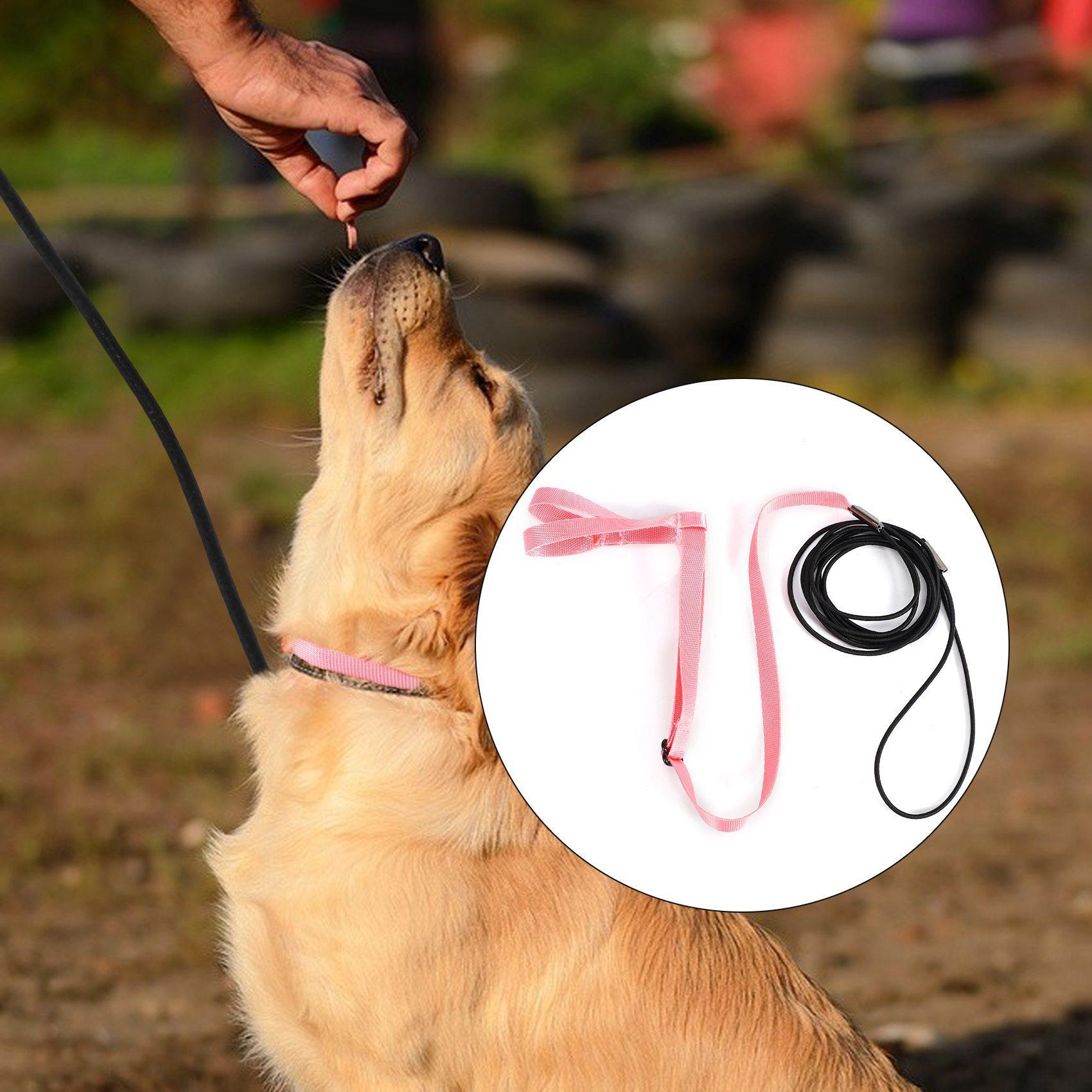 M-Modern-Pet Bird Harness And Leash,Adjustable Parrot Bird Harness Leash - Pet Anti-Bite Training Rope Outdoor Flying Harness An