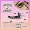 2-Pair Magnetic Eyelashes Set with Mirror Storage Box & Applicator - Natural Look, Glue-Free, Reusable, and Easy To Apply