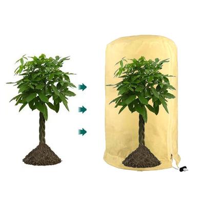 Praktisches Kordelzugdesign Frostschutz Outdoor-Pflanzenabdeckung