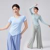 Long Sleeve Round Neck Top for Classical and Modern Dance Practice