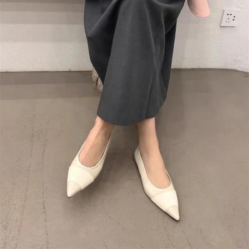 Spitz Frauen Wohnungen Loafers Schuhe Flach Mode Sexy Kleid Schuhe Neue 2024 Herbst Gemütliche Walking Sandalen Mujer Marke Zapatos