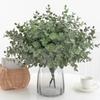 Eucalyptus Globulus Plant Foliage For Home Enhancement Photography Prop