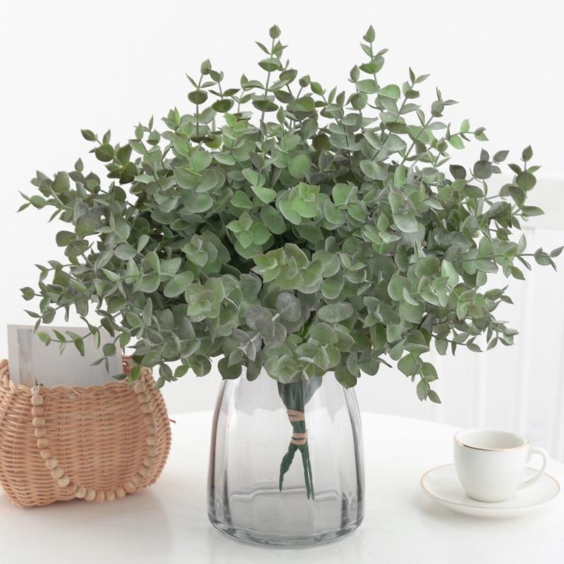 Eucalyptus Globulus Plant Foliage For Home Enhancement Photography Prop