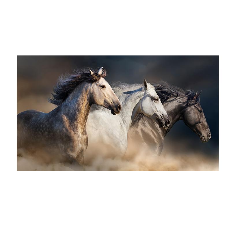 

Три бегущие лошади Картина на холсте Искусство животных Постеры и принты Современная живопись Настенные картины для гостиной Домашний декор 50x70cm No Framed