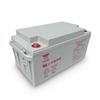 Yuasa NP12-12 12V 12Ah VRLA Battery