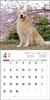 2024 Calendar Golden Retriever (Seibundo Shinkosha Calendar)