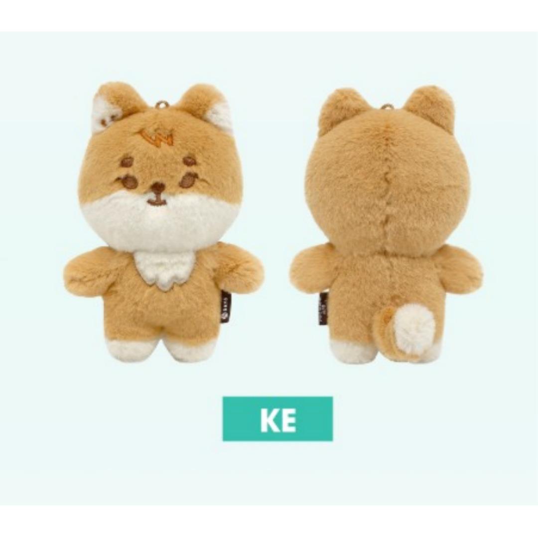 

DAY6 ПЛЮШЕВЫЕ ПЕТИТ ДЕНИМАЛЗ 10 СМ Вер. KE