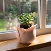 Unique Mini Rose Shape Pots Plastic Green Onion Pots Modern 3D Printed Plant Pot  Indoor Plants