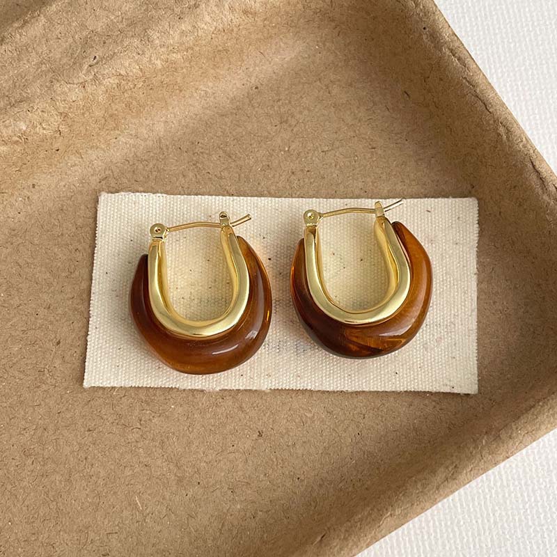 Vintage Brown Resin Round Hoop Earrings For Women Elegant Metal C- Shaped Geometric Temperament Earrings Jewelry Gifts