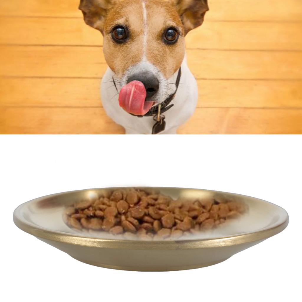 Stainless Steel Flat Cat Bowl Dog Food Drinking Bowl Metal Feeder Bowl for Small Animals