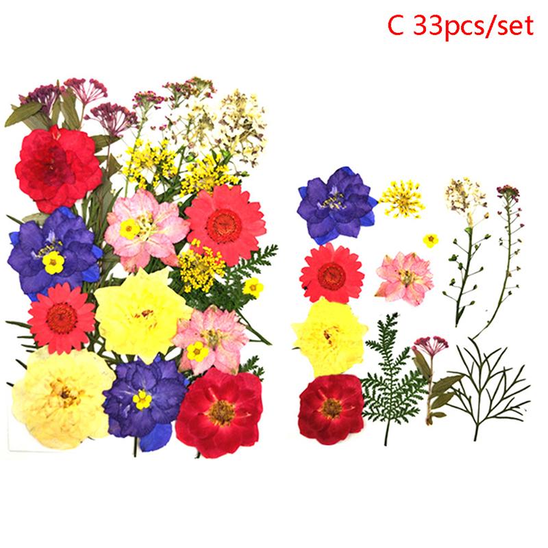 Buy 36pcs Pressed Flower Mixed Dried Flowers DIY Art Floral Decors