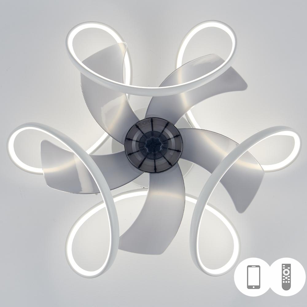 IRALAN Modern Ceiling Fan with Light Home and Decoration Smart Remote Control 50CM LED Large Home Fan