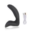 Prostate Massager Anal Vibrator 10 Modes Delay Ejaculation G Spot Stimulation Butt Plug Vibrating Dildo Sex Toy for Adult Couple