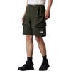 THE NORTH FACE Urban Exploration Casual Shorts Men's Gray Brown Green NF0A885Q-21L
