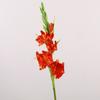 Real Touch Artificial Gladiolus Branches PU Fake Flowers  Holiday Party Decor