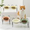 Ruhan Ceramic Double Pet Bowl with Iron Stand