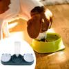 Double Bowl Pet Food Water Dish Feeder For Dog Cats Daily Feeding with Automatic Water Dispenser For Pet Dry Wet Food