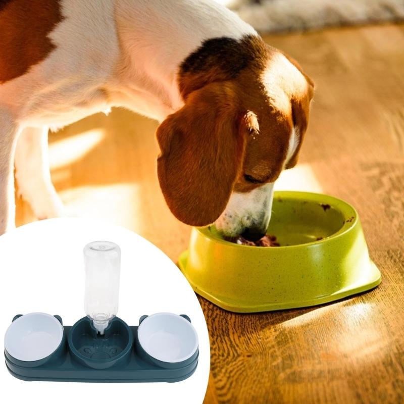 Double Bowl Pet Food Water Dish Feeder For Dog Cats Daily Feeding with Automatic Water Dispenser For Pet Dry Wet Food