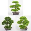 Artificial Pine Bonsai Tree With Pot For Office Decor And Indoor Greenery