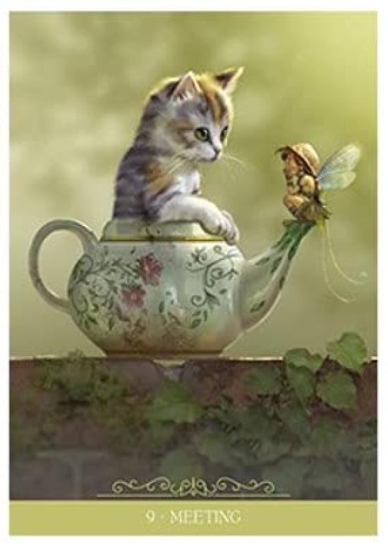 Kancharo Oracle Card Tarot Card Reading Fantasy Cats Oracle Includes Japanese Oracle Card Basic Instructions Pouch 23-Card Set, [Barbieri Cards] &