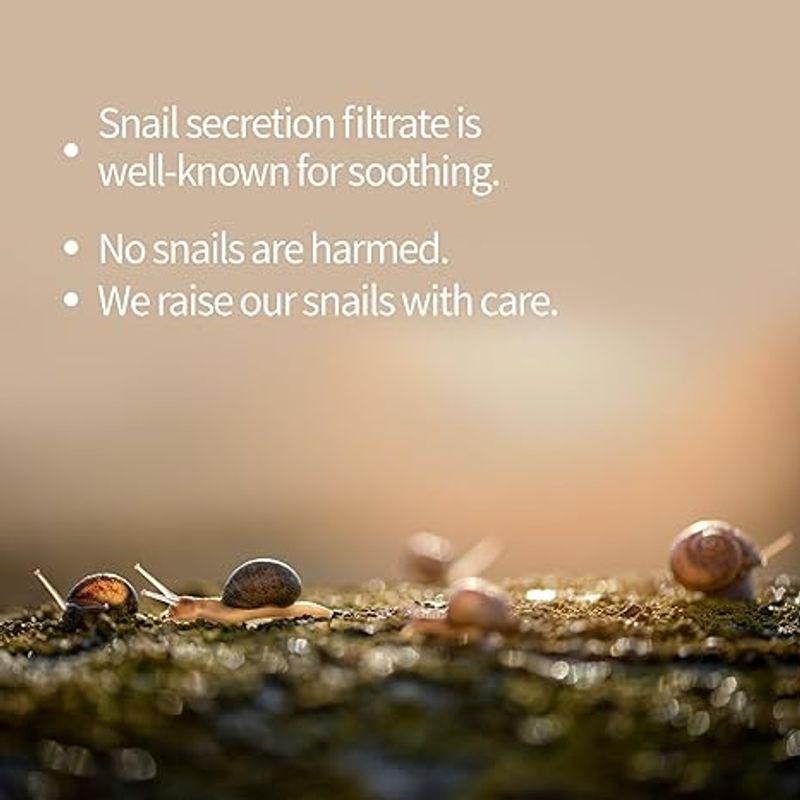 [Benton] *renewal* Snail Bee High Content Cream 50ml